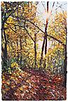 Hudson in Fall, Cold Spring
2001
oil on wood panel
91.5 x 61 cm