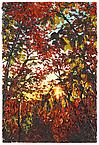 Fall Leaves
2002
oil on wood panel
91,5 x 61 cm