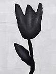 Donald Baechler
Black Flower
2011
acrylic and textile collage on canvas
102 x 76 cm