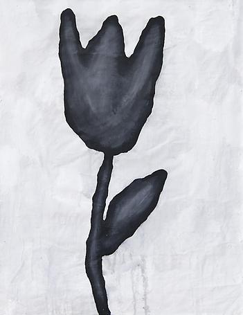 Black Flower Study
2011
Gesso, Flashe and paper collage on paper 
80 x 65 cm