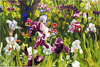 Iris Garden 8
2013
oil on canvas
165 x 110 cm