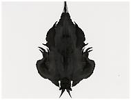 Tilda Lovell
Transformation
2012
collage, black ink on paper
22 x 40 cm