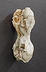 4-headed
2014
skull of deer
16 x 29 x 20 cm