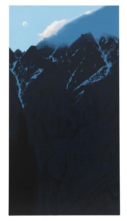 MW XVIII
2015
oil on canvas
230 x 120 cm