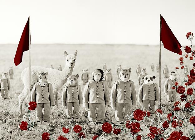 Field of Red Carnations
2008                                                              
fine art digital print
103 x 134 cm