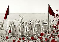 Field of Red Carnations
2008                                                              
fine art digital print
103 x 134 cm