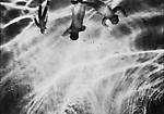 Photographs Thumbnail