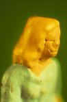 Photographs Thumbnail