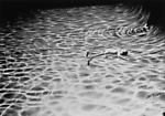 Photographs Thumbnail