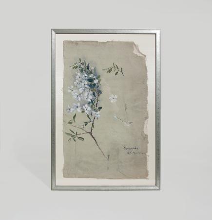Agnes Northrop <br> Watercolor Study 1