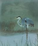 Sara Sax for Rookwood<br><i>Crane</i>