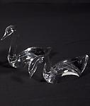 Pair of Swans