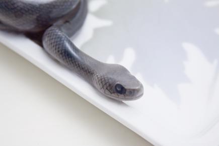 Royal Copenhagen 'Snake and Frog' Inkwell 3