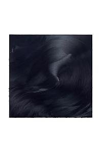 Jason Martin
<i>Corinthian, </i>2011
Oil on aluminium
195 x 195 cm