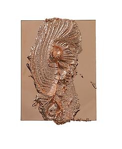 Jason Martin
<i>Ceyx, </i>2012
Copper
40.6 x 30.5 cm