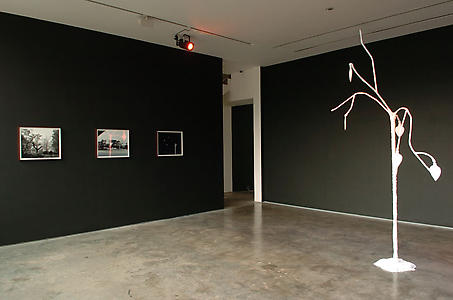 Gerard Byrne
Installation view
Lisson Gallery, 52-54 Bell Street, 23rd March 2007 - 4th May 2007