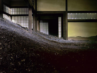 Minka With Dirt and Fog, 2003
C print mounted to plexiglass