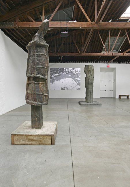 <i>Photo by: Tom Powel</i>