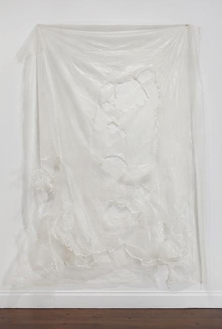 <i>Untitled</i>, 2007
plastic
128 x 89 inches