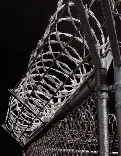 Detail, <i>Security Fence</i>