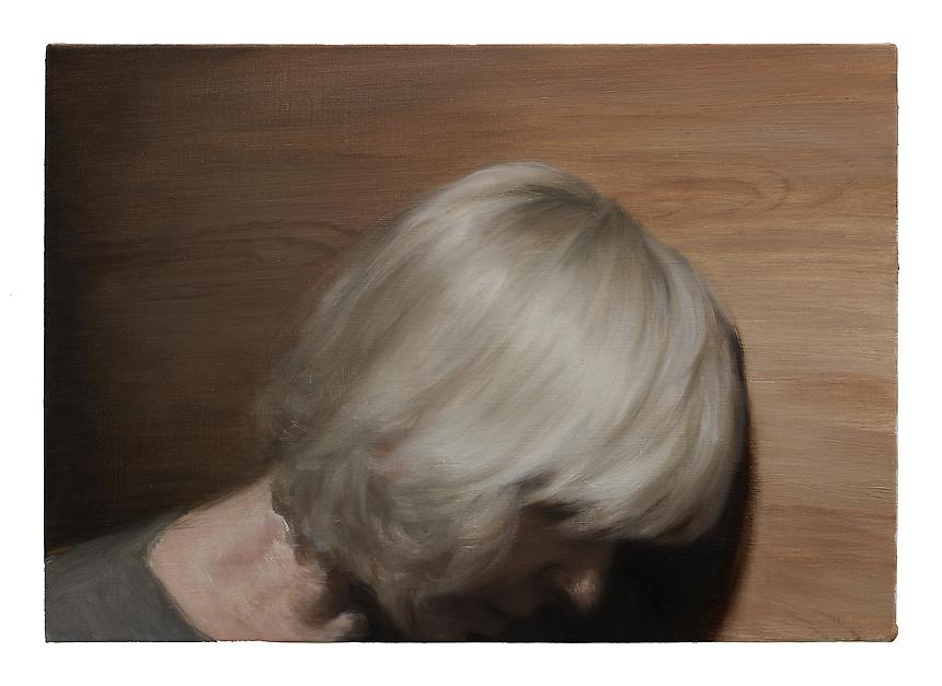 <i>Panel</i>, 2012<br>
Oil on linen<br>
13 ¾ x 19 ¾ inches (35 x 50 cm)<br>

Photo credit: Fredrik Nilsen