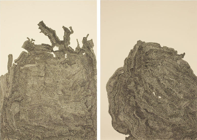<i>Analogous Mountain (State III)</i>
2008
hand printed lithograph
16 1/2 x 11 3/8 inches (41.9 x 28.9 cm)
1/14