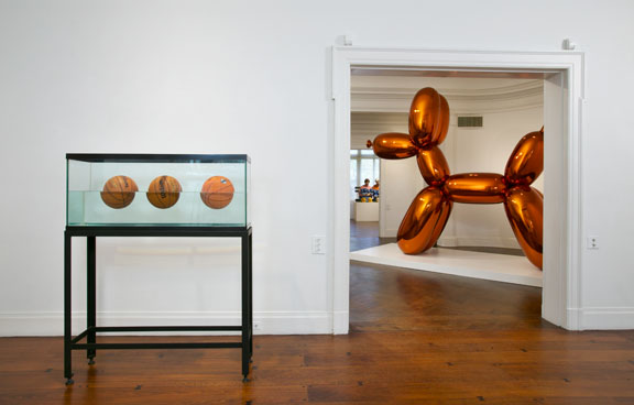 <i>Photo by: Tom Powel</i>