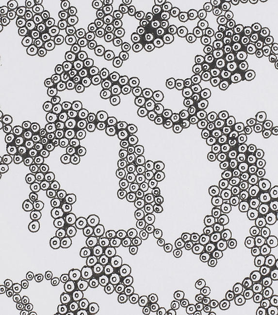 Detail, <i> Untitled </i>