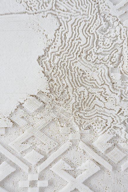 Detail, <i>Clear, Hold, Build</i>