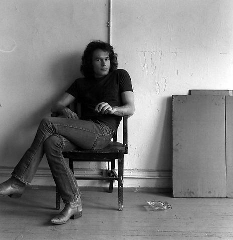 Brice Marden, 1976