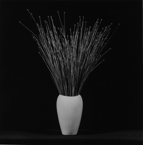 <i>Flower</i>, 1983