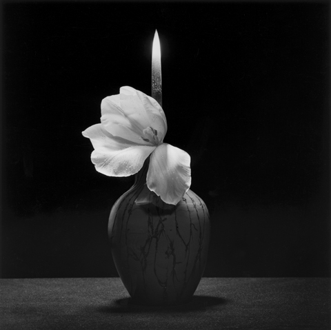 <i>Flower with Knife</i>, 1985