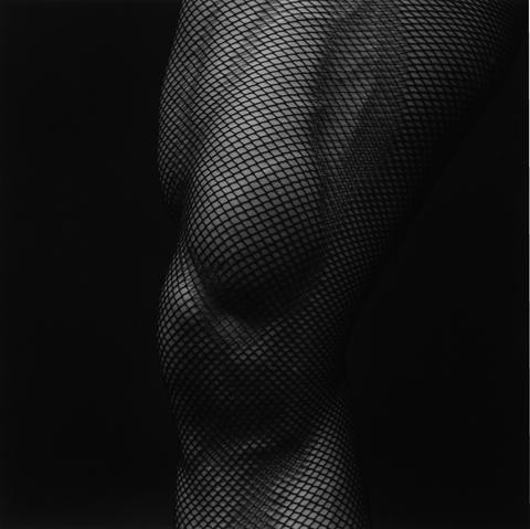 <i>Leg</i>, 1983