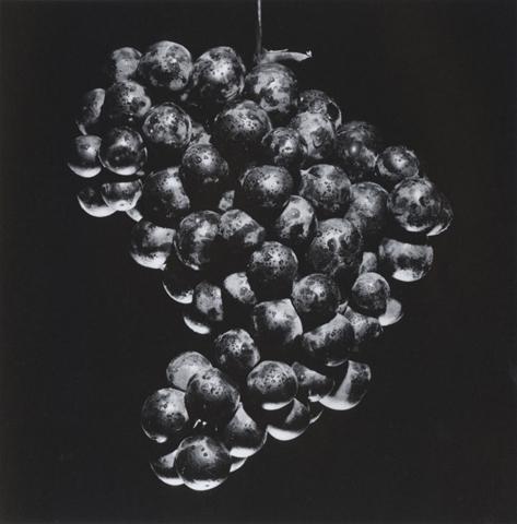 <i>Grapes</i>, 1985