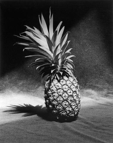 <i>Pineapple</i>, 1985