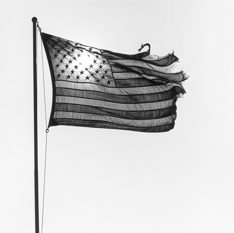 <i>American Flag</i>, 1977