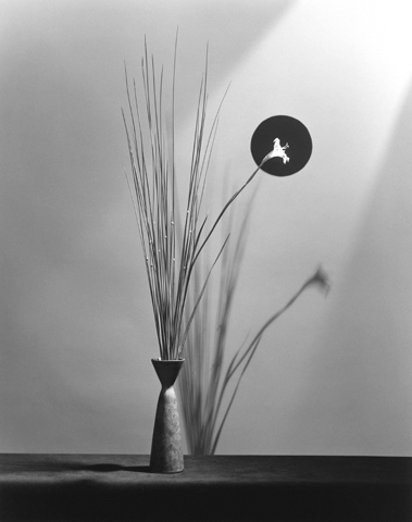 <i>Flower</i>, 1983