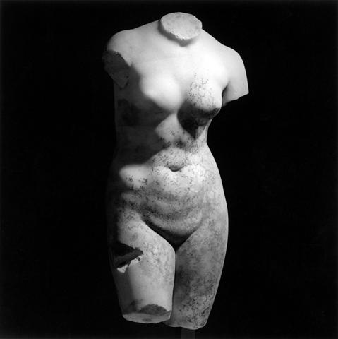 <i>Female Torso</i>, 1978
