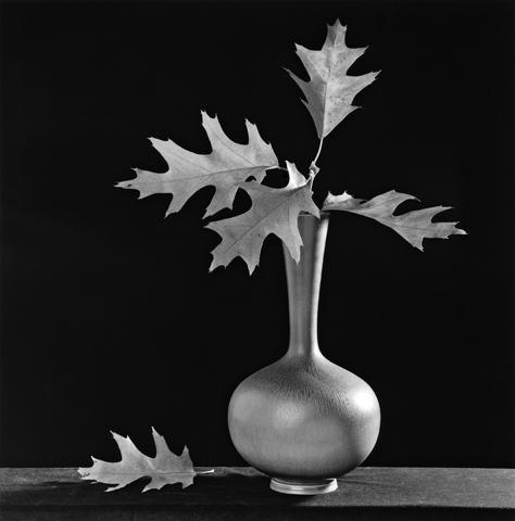 <i>Leaf</i>, 1987