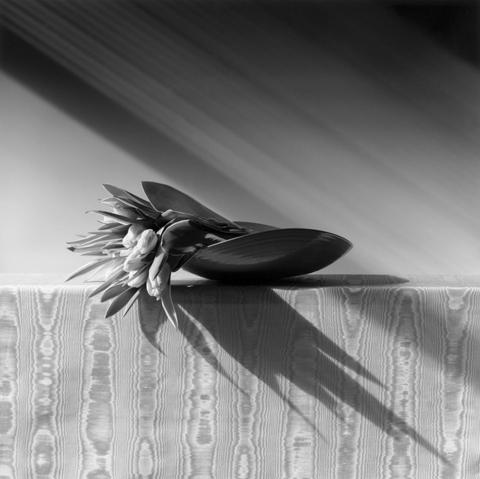 <i>Tulips</i>, 1988
