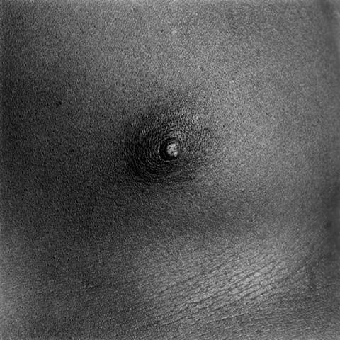 <i>Nipple/Livingston</i>, 1988