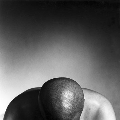 <i>Cedric</i>, 1977