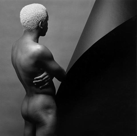 <i>Leigh Lee</i>, 1980