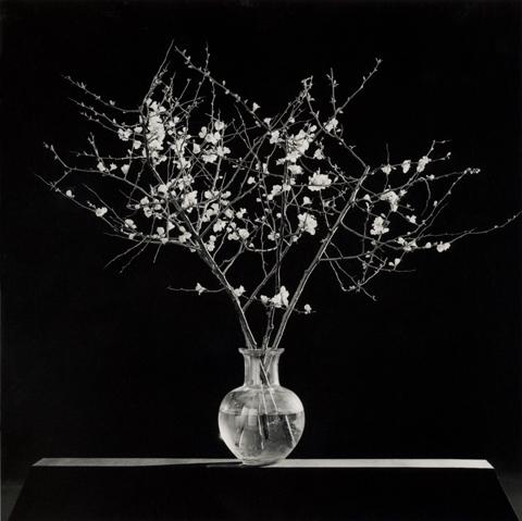 <i>Flowers</i>, 1986