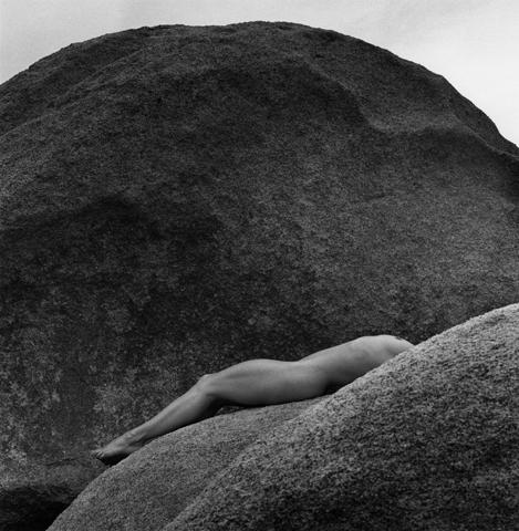 <i>Lisa Lyon</i>, 1980