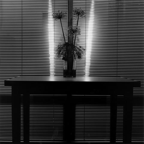 <i>Flower</i>, 1980