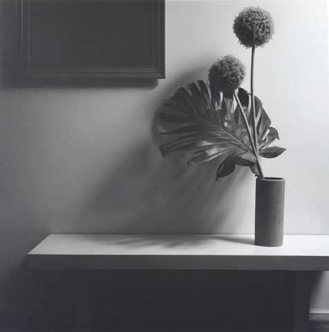 <i>Flower</i>, 1980