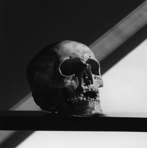 <i>Skull</i>, 1988