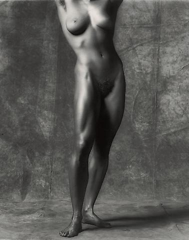 <i>Lisa Lyon</i>, 1981