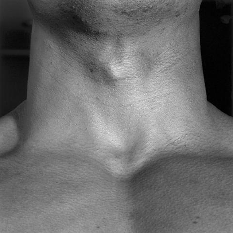 <i>Neck/Livingston</i>, 1988